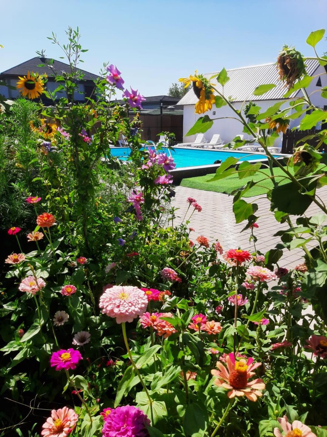Malibu Guest House Kapchagay Ngoại thất bức ảnh